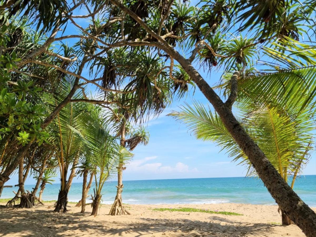 טנגלה Golden Beach Paradise מראה חיצוני תמונה