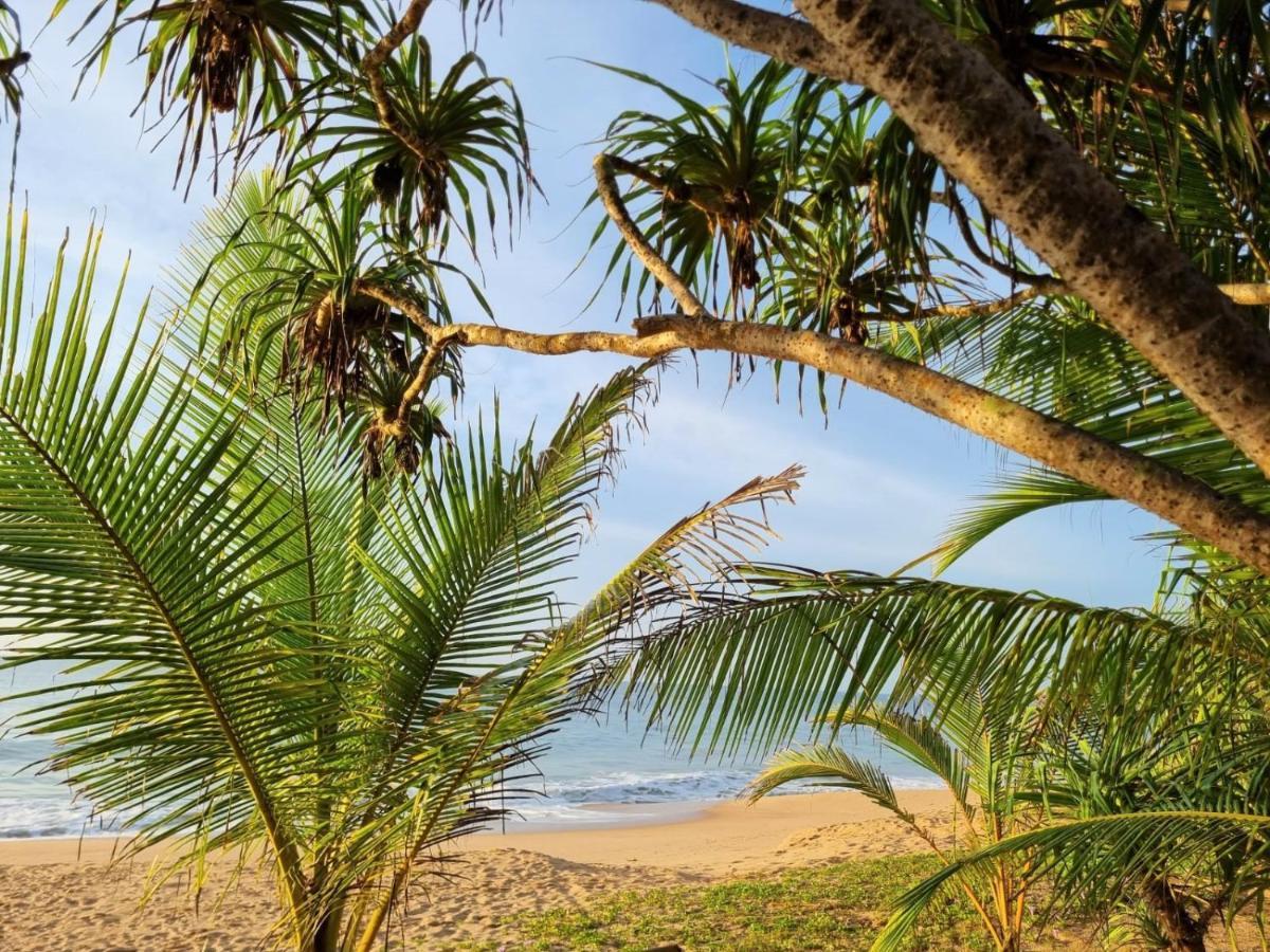 טנגלה Golden Beach Paradise מראה חיצוני תמונה