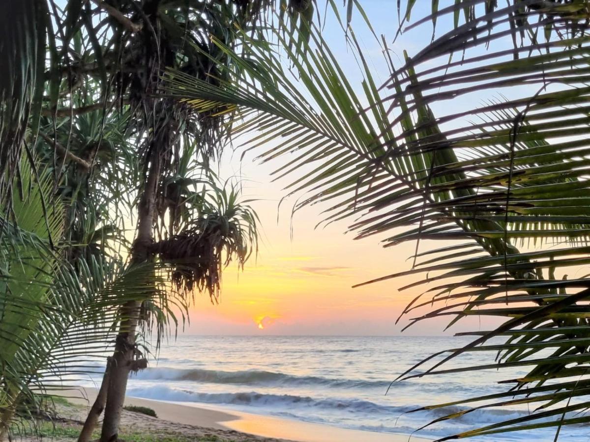 טנגלה Golden Beach Paradise מראה חיצוני תמונה