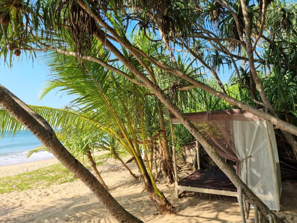 טנגלה Golden Beach Paradise מראה חיצוני תמונה