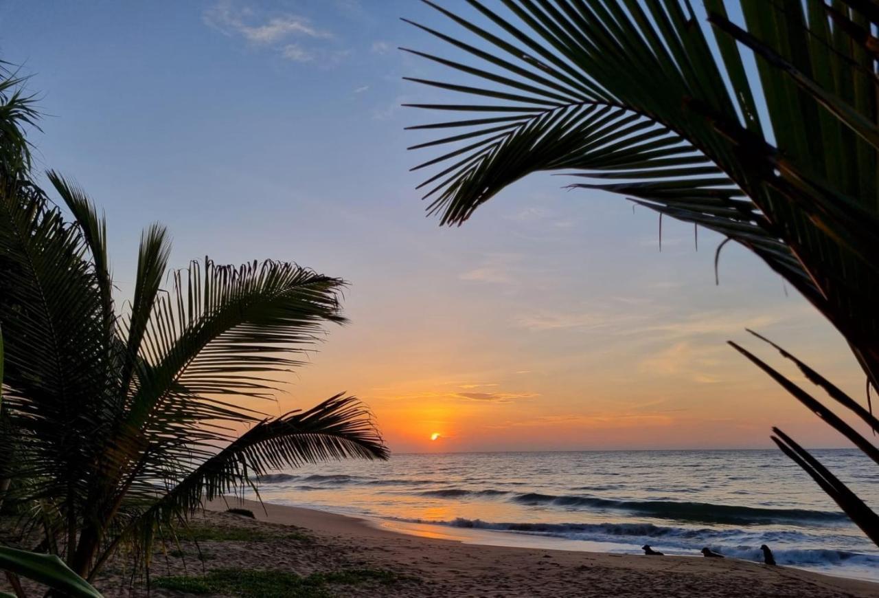 טנגלה Golden Beach Paradise מראה חיצוני תמונה