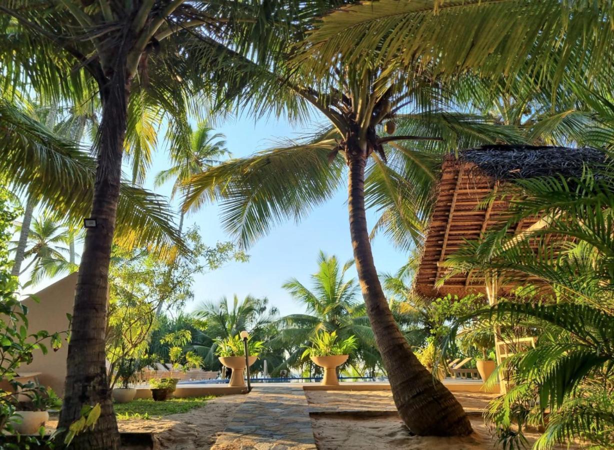 טנגלה Golden Beach Paradise מראה חיצוני תמונה