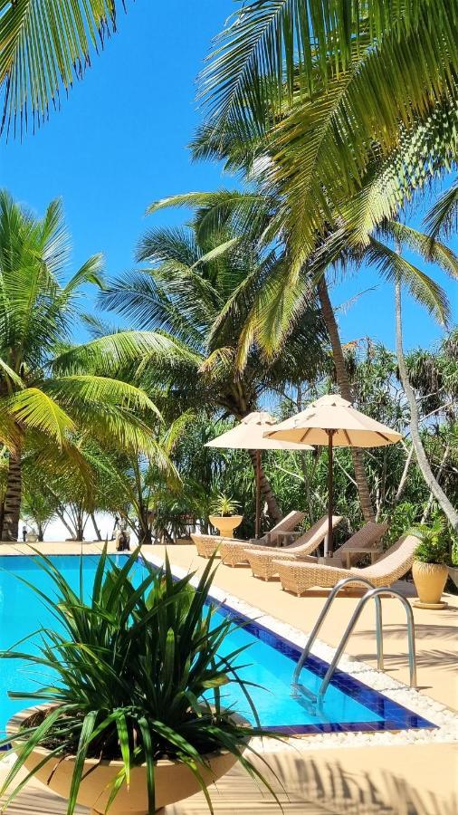טנגלה Golden Beach Paradise מראה חיצוני תמונה