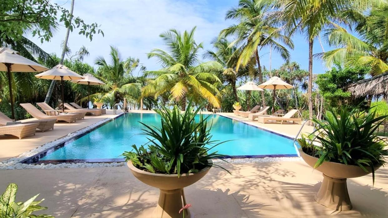 טנגלה Golden Beach Paradise מראה חיצוני תמונה